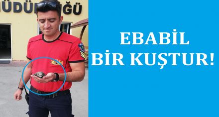 EBABİL BİR KUŞTUR!