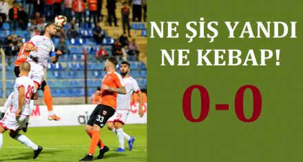 NE ŞİŞ YANDI NE KEBAP