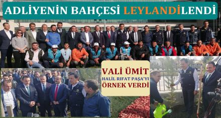 ADLİYENİN BAHÇESİ LEYLANDİLENDİ 