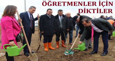 ÖĞRETMENLER İÇİN DİKTİLER