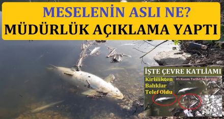 MESELENİN ASLI NE!