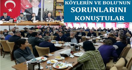 KÖYLERİN VE BOLU'NUN SORUNLARINI KONUŞTULAR 
