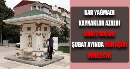 KÖKEZ SULARI ŞUBAT AYINDA GÜN AŞIRI VERİLECEK