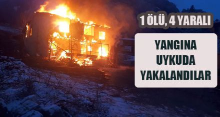GÖYNÜK'TEKİ YANGIN CAN ALDI
