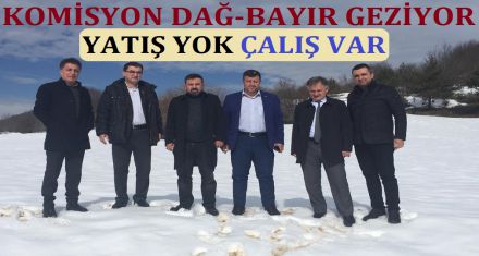 KOMİSYON DAĞ-BAYIR GEZİYOR
