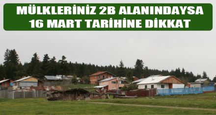 YAYLALARDAKİ MÜLKLERİN SATIŞININ SÜRESİ UZATILDI 