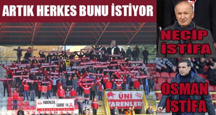 ARTIK HERKES BUNU İSTİYOR