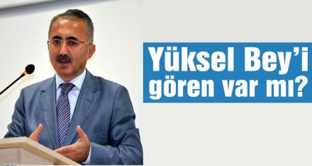 Seçim zamanı gelecek misin?