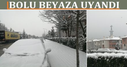 BOLU BEYAZA UYANDI