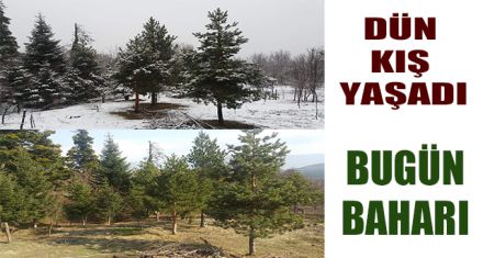 DÜN KIŞI BUGÜN BAHARI