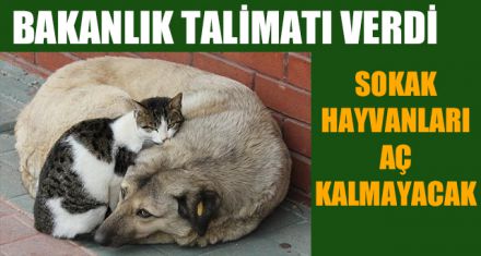 SOKAK HAYVANLARI AÇ KALMAYACAK