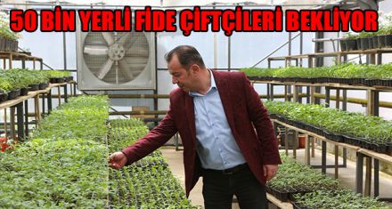 BELEDİYE YERLİ FİDELERİ ÇİFTÇİLERLE PAYLAŞACAK