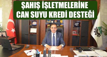 ŞAHIŞ İŞLETMELERİNE CAN SUYU KREDİ DESTEĞİ