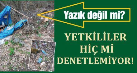 Orman köylüsü bunu yaparsa!