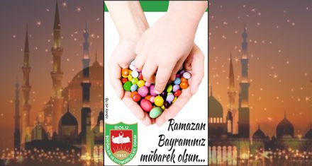 BOLU ŞOFÖRLER VE OTOMOBİLCİLER ODASI 
