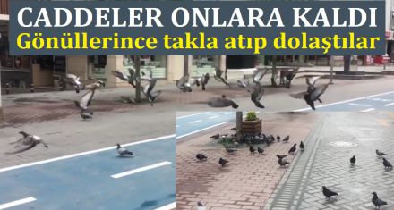 CADDELER ONLARA KALDI