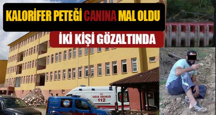 KALORİFER PETEĞİ CANINA MAL OLDU