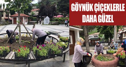 GÖYNÜK'ÜN ÇEHRESİ GÜZELLEŞİYOR