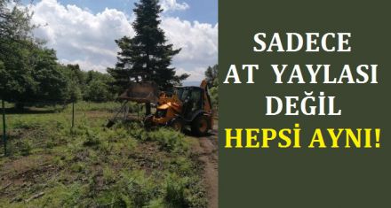 SADECE AT YAYLASI DEĞİL HEPSİ AYNI!