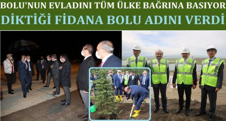 BOLU'NUN EVLADINI TÜM TÜRKİYE BAĞRINA BASIYOR