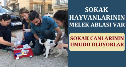 SOKAK HAYVANLARI SAHİPSİZ DEĞİL