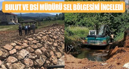 BULUT VE DSİ MÜDÜRÜ SEL BÖLGESİNİ İNCELEDİ