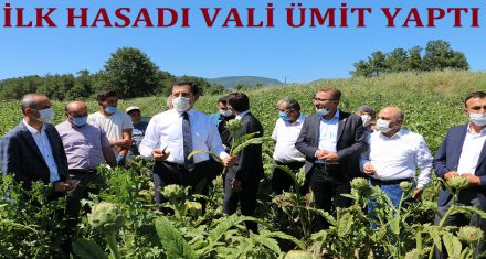 İLK HASADI VALİ ÜMİT YAPTI 