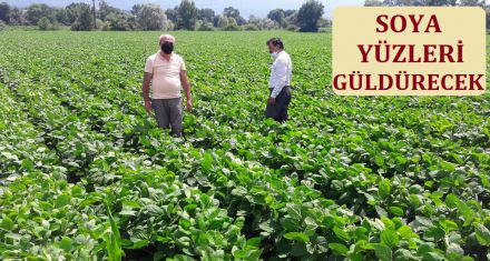 SOYA YÜZLERİ GÜLDÜRECEK