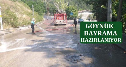 GÖYNÜK BAYRAMA HAZIRLANIYOR
