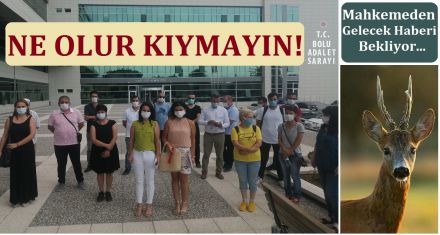 NE OLUR KIYMAYIN!
