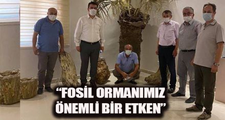“FOSİL ORMANIMIZ ÖNEMLİ BİR ETKEN”