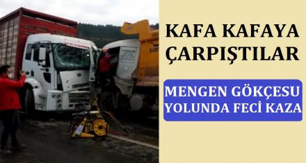MENGEN GÖKÇESU YOLUNDA KAZA