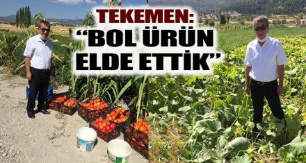 Tekemen: “Bol ürün elde ettik”   