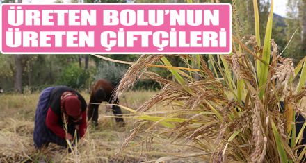ÜRETEN BOLU'NUN ÜRETEN ÇİFTÇİLERİ