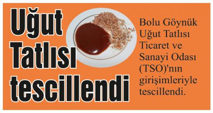 TSO BAŞARISINI SÜRDÜRÜYOR