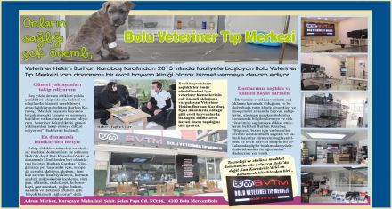 Onların sağlığı çok önemli; Bolu Veteriner Tıp Merkezi