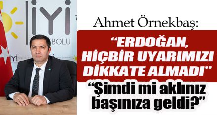 Örnekbaş: "Erdoğan, hiçbir uyarımızı dikkate almadı"