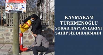 KAYMAKAM TÜRKMENOĞLU ONLARI UNUTMADI 