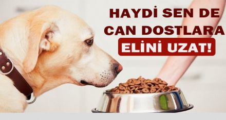 HAYDİ SEN DE CAN DOSTLARA ELİNİ UZAT
