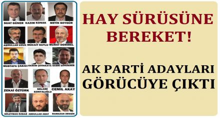 AK PARTİ ADAYLARI GÖRÜCÜYE ÇIKTI!
