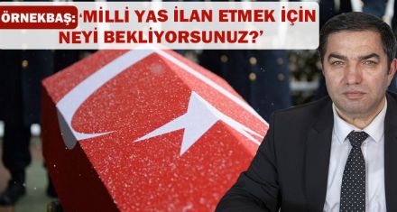 "MİLLİ YAS İLAN ETMEK İÇİN NEYİ BEKLİYORSUNUZ?"