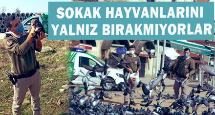  SOKAK HAYVANLARINI YALNIZ BIRAKMIYORLAR