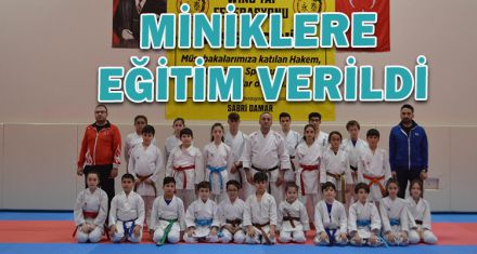 KARATE GELİŞİM SEMİNERİ DÜZENLENDİ