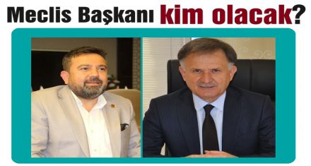 Meclis Başkanını seçecek!