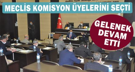 MECLİS KOMİSYON ÜYELERİNİ SEÇTİ