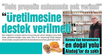 Korona'dan korunmanın en doğal yolu Aladağ'lar'da saklı