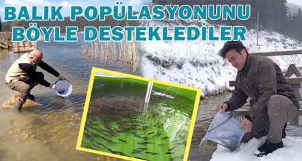 BALIK POPÜLASYONUNU BÖYLE DESTEKLEDİLER