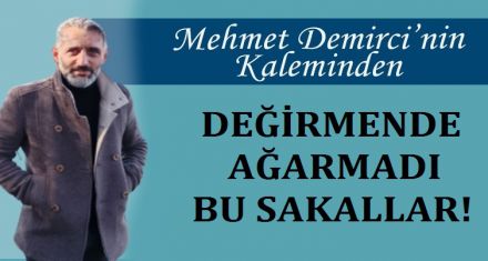 DEĞİRMENDE AĞARMADI BU SAKALLAR!