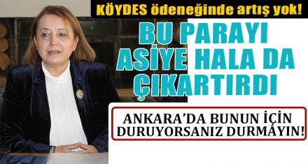 KÖYDES ÖDENEĞİNDE ARTIŞ YOK.