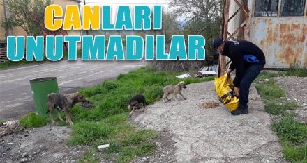 CANLARI UNUTMADILAR
